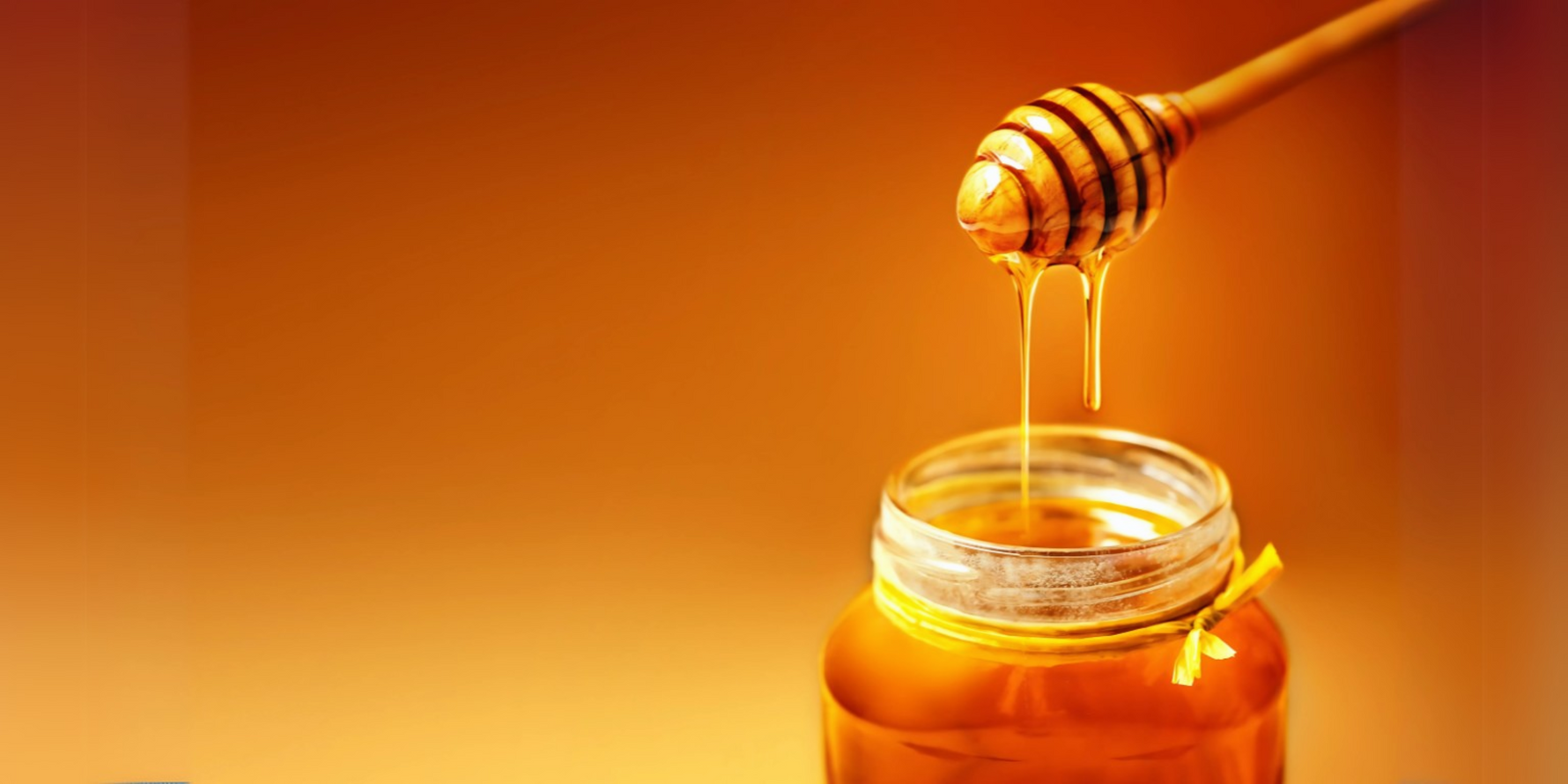 The Golden Elixir: Everything You Need to Know About Honey