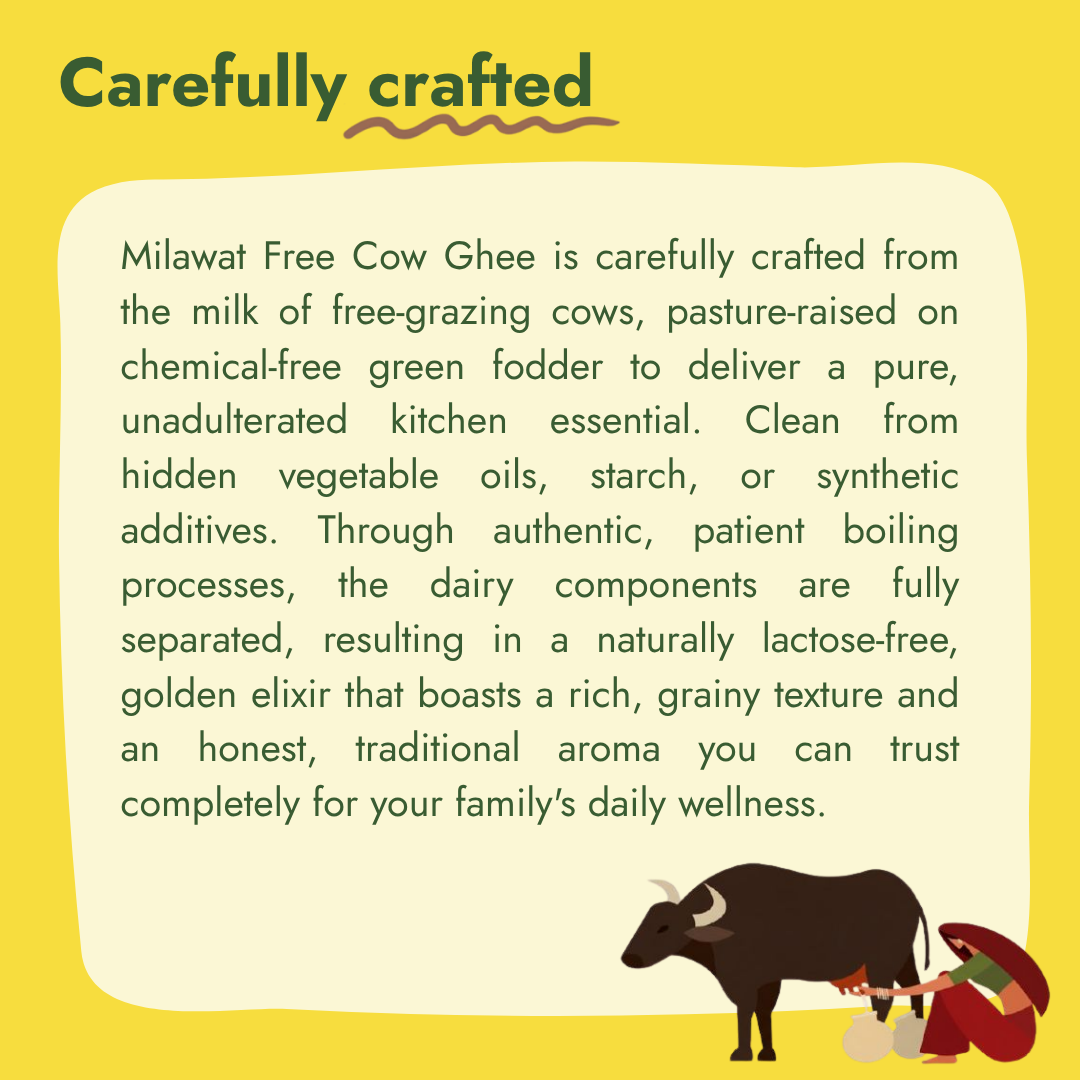 Milawat Free Cow Ghee carefully crafted from milk with traditional processing