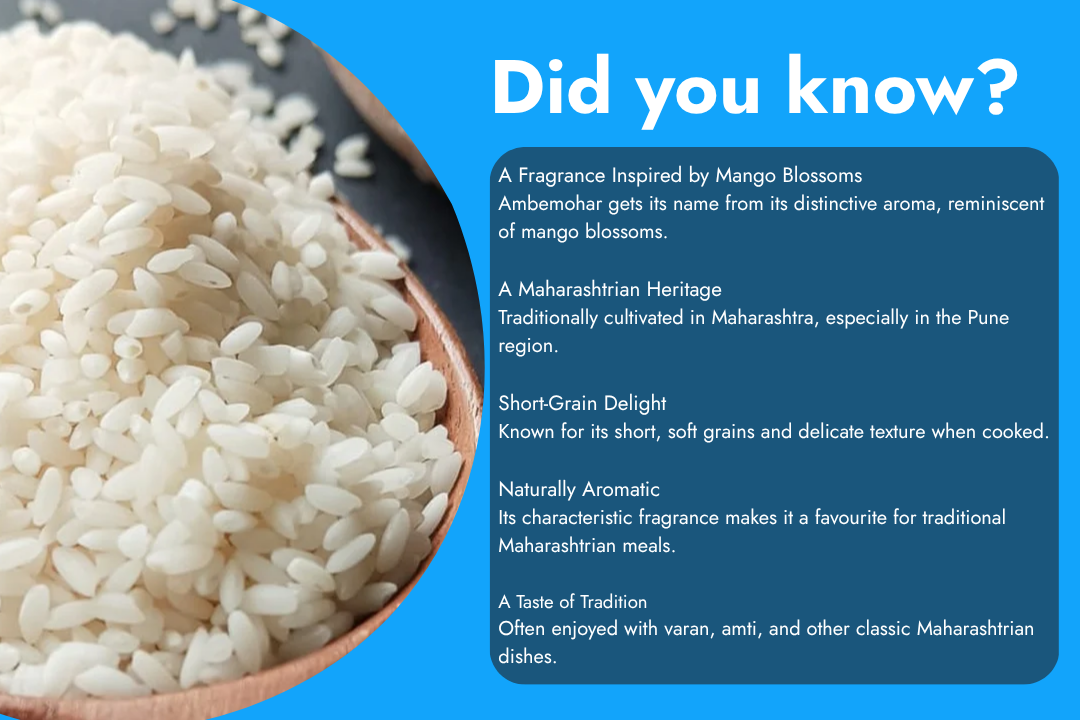 Tito’s Organic Ambemohar Rice with naturally aromatic short grains, a traditional Maharashtrian rice variety