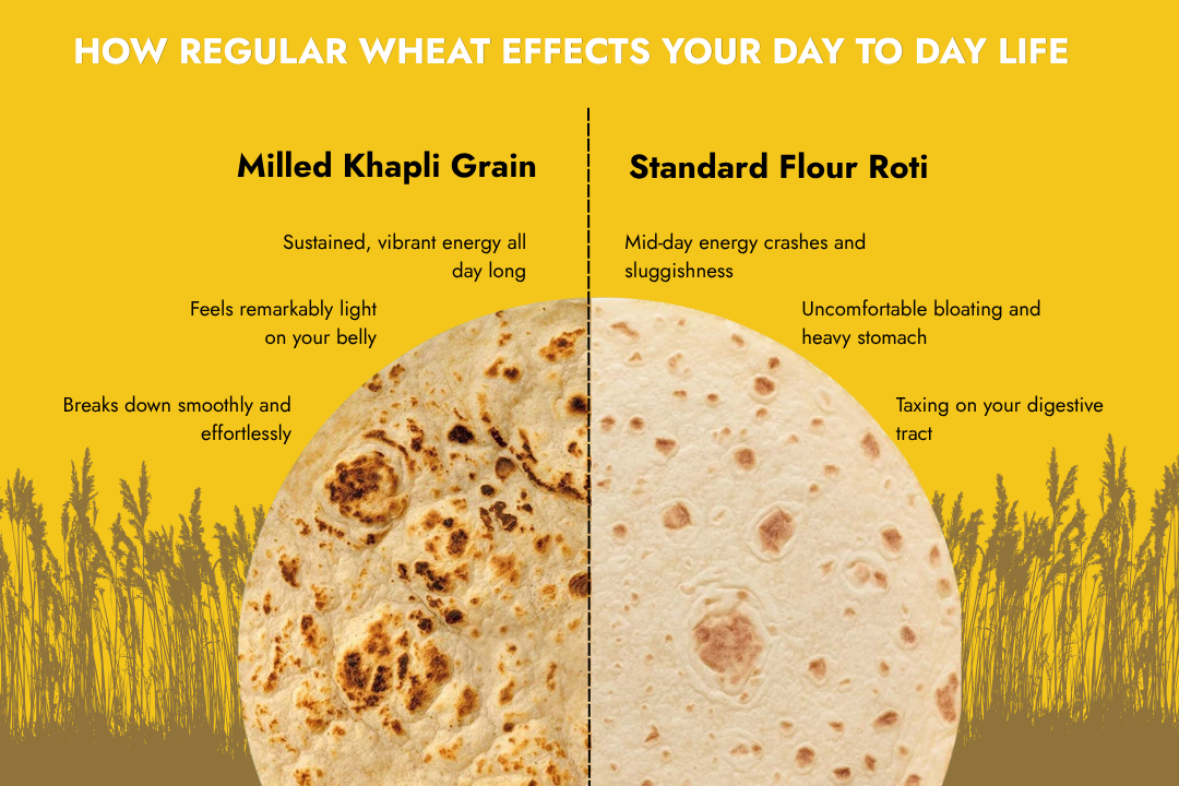 Titos Organic Khapli Wheat roti compared with regular wheat flour