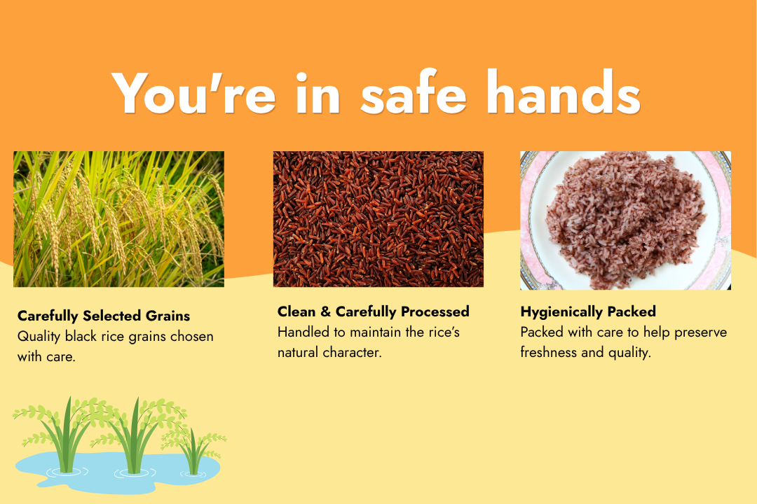 Tito’s Organic Red Rice featuring carefully selected grains, red rice paddy and cooked rice