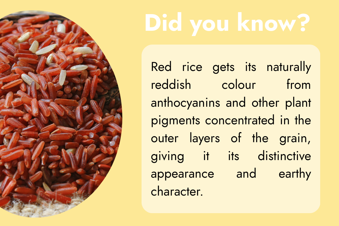 Close-up of reddish red rice grains highlighting their natural colour and earthy character