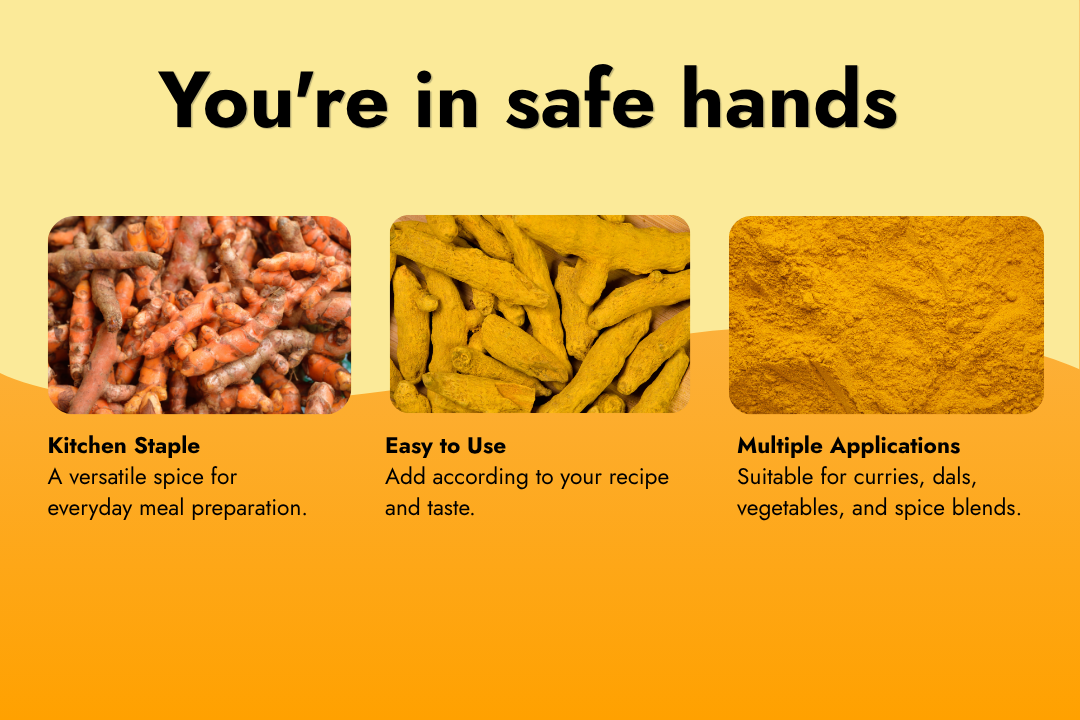 Turmeric roots and turmeric powder showcasing this versatile kitchen spice for everyday meal preparation and seasoning.