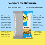 Comparison of refined wheat flour and Tito’s Organic Whole Wheat Flour, highlighting bran, germ, endosperm, and dietary fibre